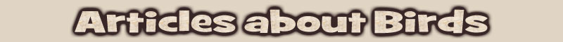 Articles