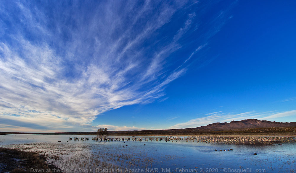 Bosque del Apache Crane Pools