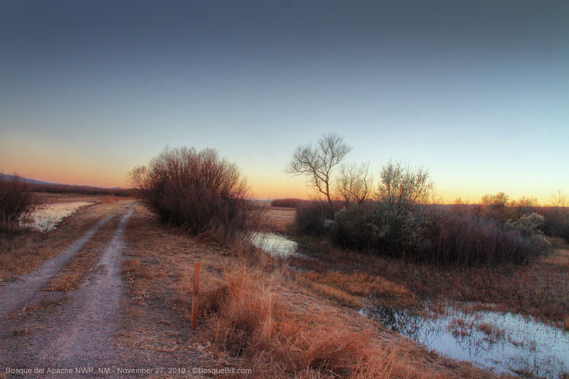 Bosque del Apache NWR