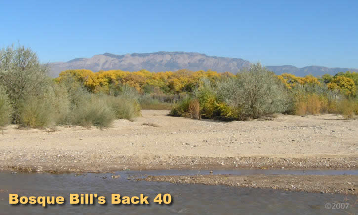 Bosque Bill's Backyard includes diverse natural areas for birding, biking, hiking, photography such as this lovely view of the Sandia Mountains.
